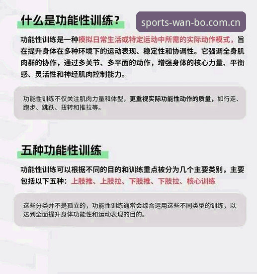 揭秘万搏体育官方网站必备的五大创新功能，你不知道的事